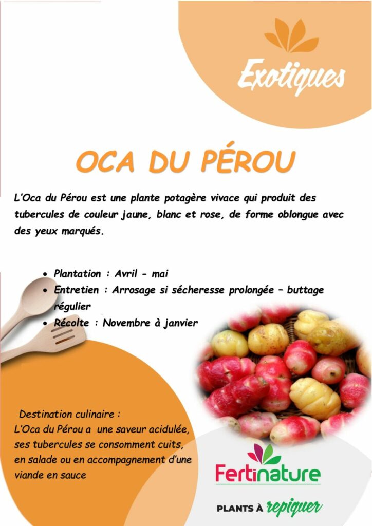 OCA