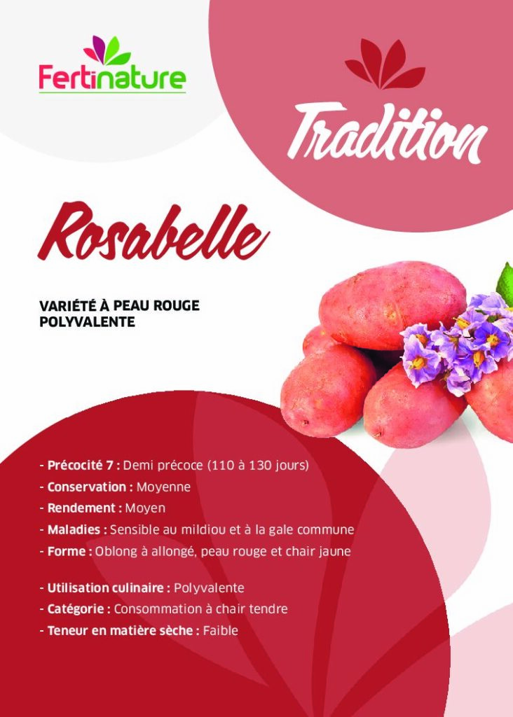 ROSABELLE - Tradition