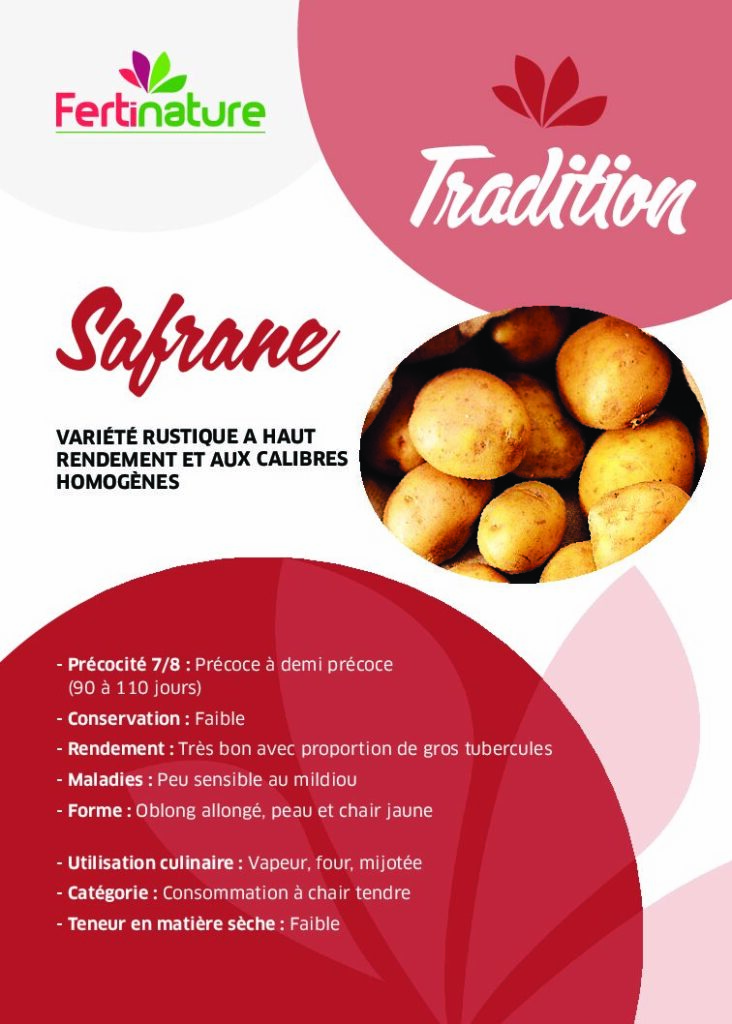 SAFRANE - Tradition