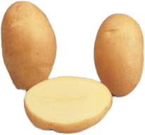 SAFRANE