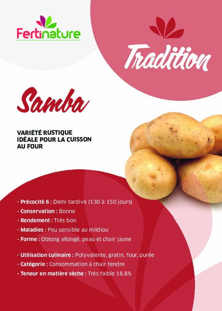 SAMBA - Tradition