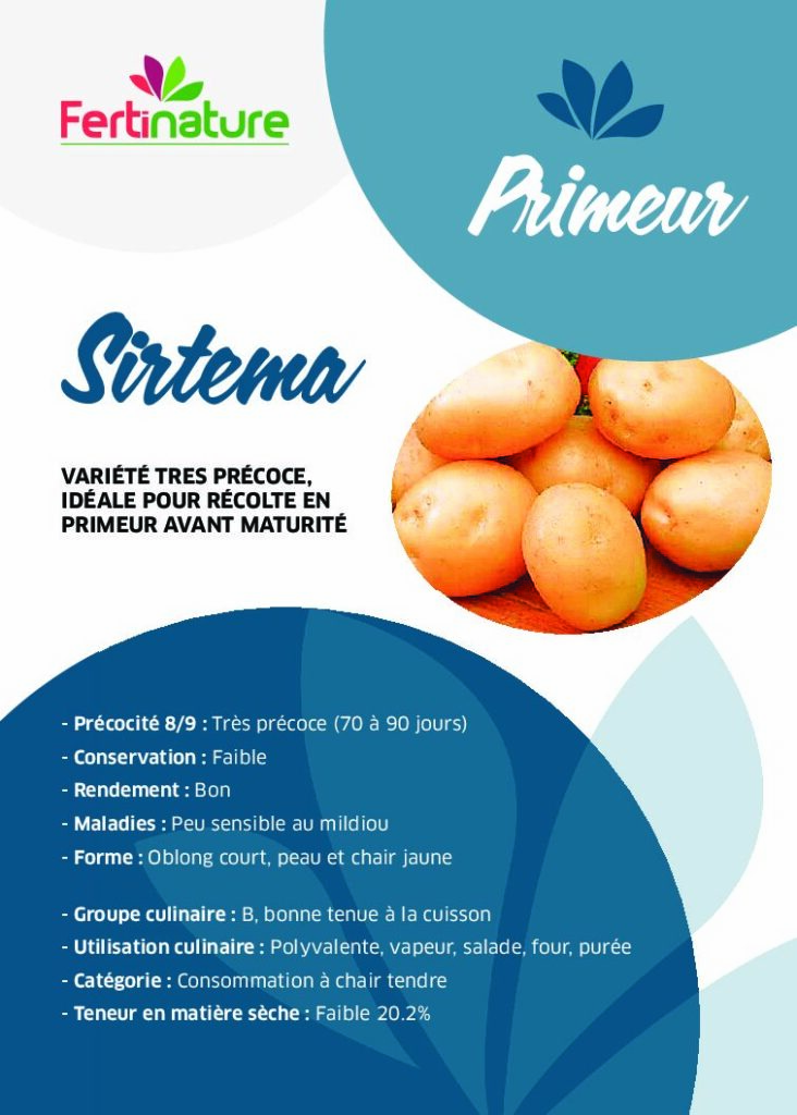 SIRTEMA - Primeur