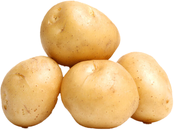 SIRTEMA