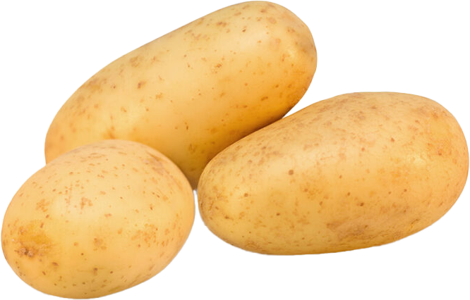 SPUNTA