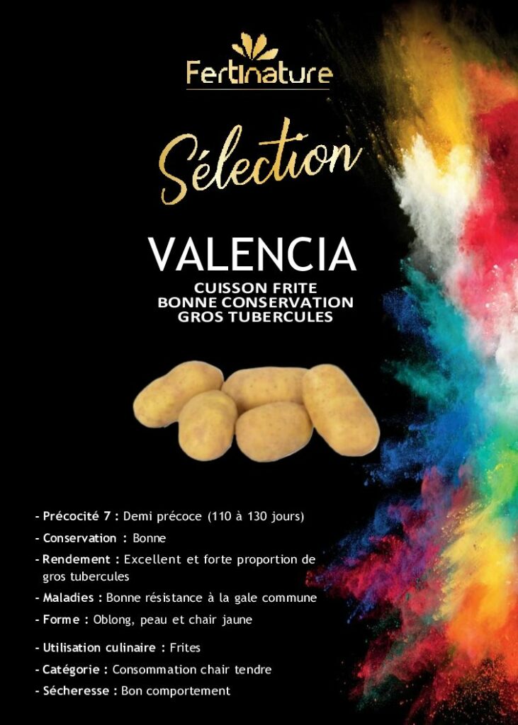 VALENCIA - Séléction