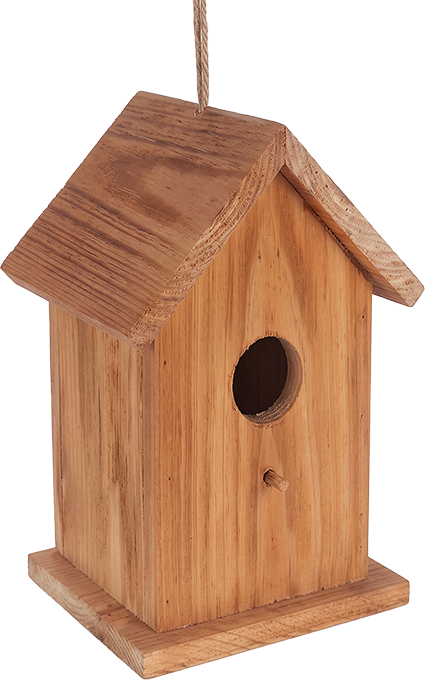 MAISON OISEAUX