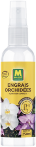 Orchidées